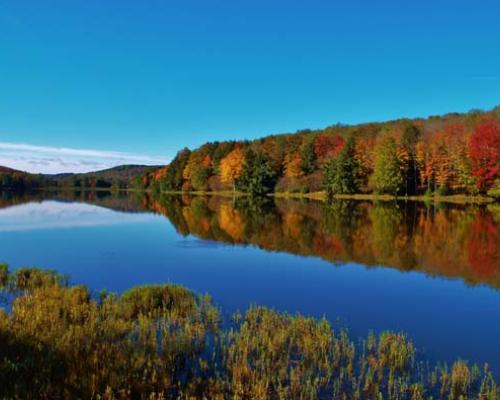 chapman state park