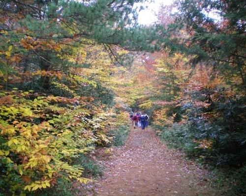 Hickory Run State Park