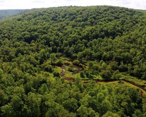 kinzua bridge state park