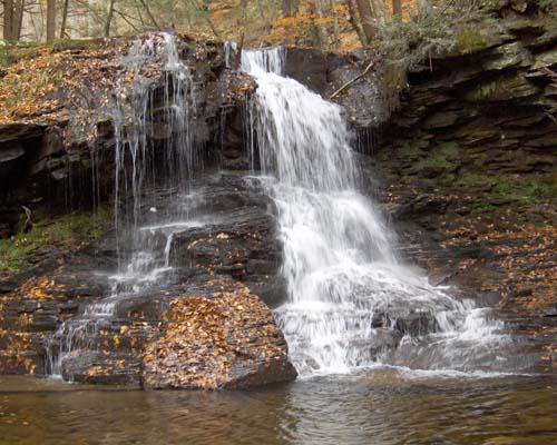 Loyalsock State Forest