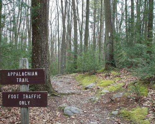 Michaux State Forest