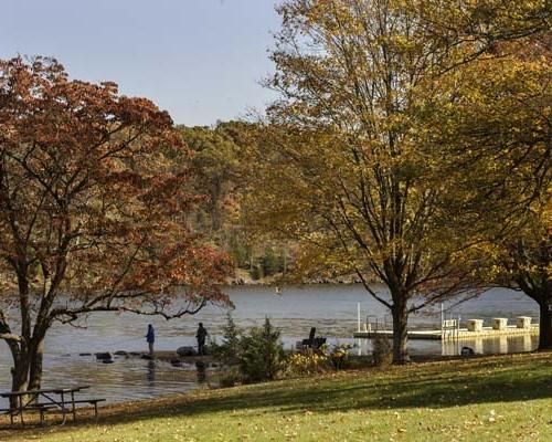 valley forge national park