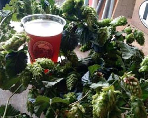 Sprague Farm and Brew Works