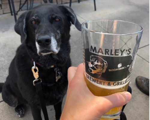 Marley's Brewery & Grille