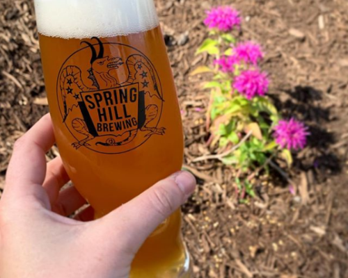 Spring Hill Brewing