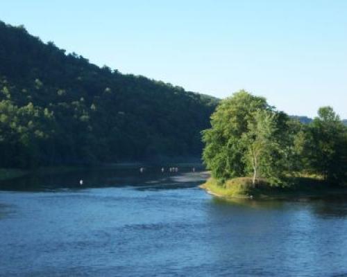 Allegheny Wilderness Islands