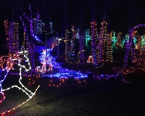 christmas magic lights to trees