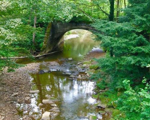 creek under bridge