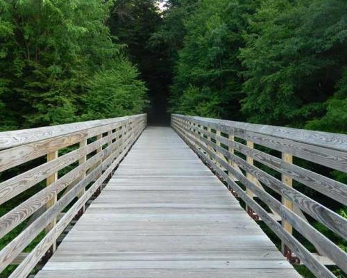 wooden bridge walk