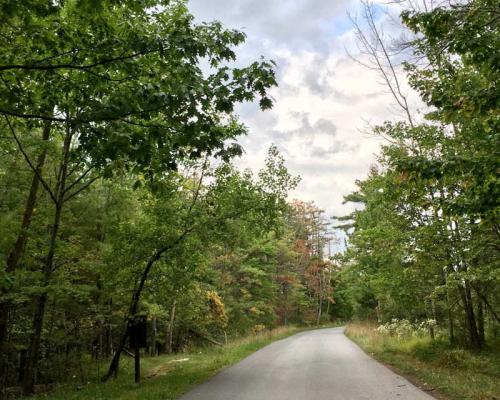 paved trail path rothrock state forest