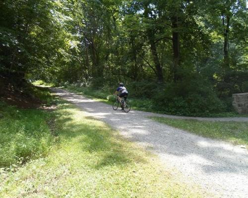 Biking Tri Valley Trail