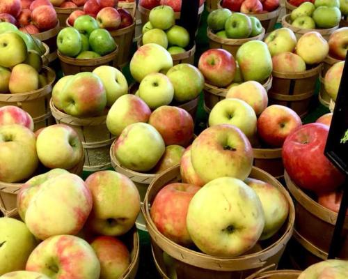 apples in baskets whitecombs farm market