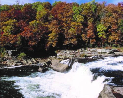 A river with a waterfall and trees