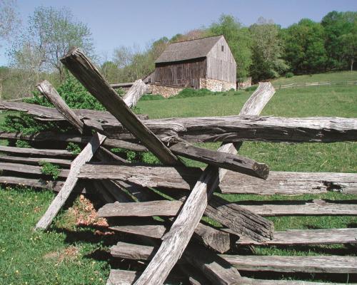 A pile of wood in a yard