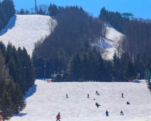 people skiing on elk mountain