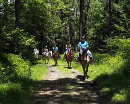 group of people taking horse back riding