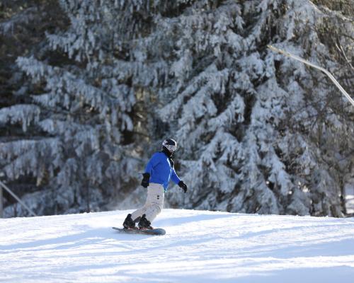 a person skiing slopes