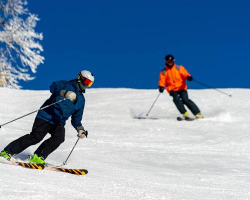 people skiing down slopes