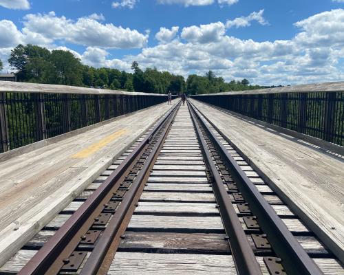 Kinzua Skywalk Tracks