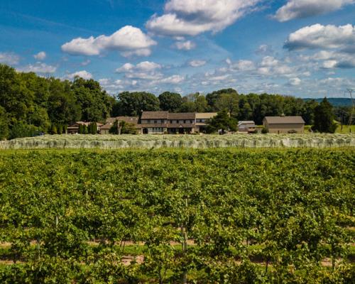 Buckingham Valley Vineyards and Winery panzoom
