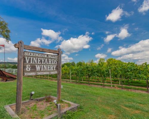 Buckingham Valley Vineyards and Winery signage board
