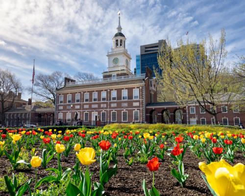 blossoms infront of independence national historical park