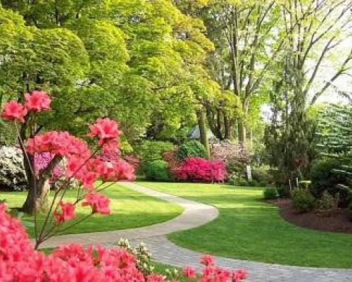 Brick walkway with pink flowers surrounding it