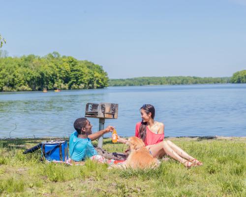 couple having picinic by lake
