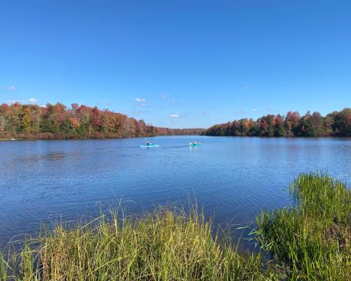 lake jean