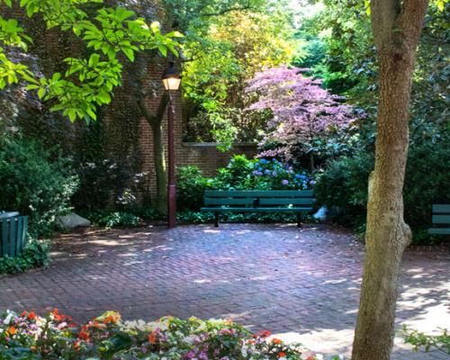 Quaint city garden with a bench