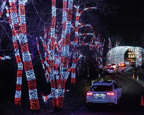 drive through lights in car Shady Brook Farm Holiday Lights