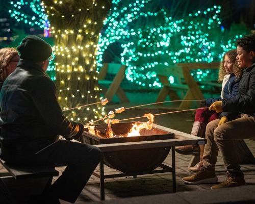 family roasting marshmallows in camp fire