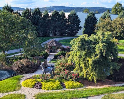 Twin Pine Manor birds eye view