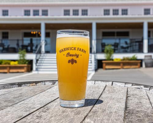 beer poured into glass placed on table, Warwick farm brewing