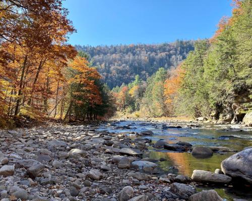 Worlds End State Park river flowing