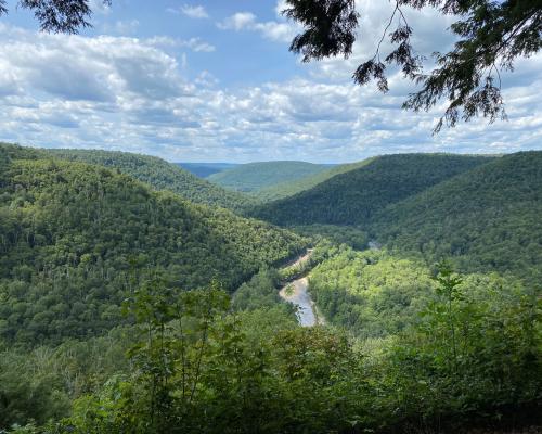 Mountains overlook