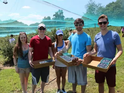 Blueberry Festival at Linvilla Orchards