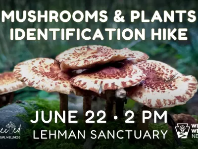 Mushrooms and Plants Identification Hike