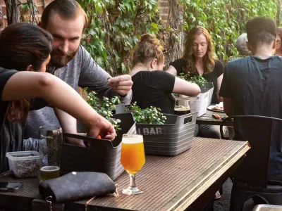Bonsai Workshop at Back Road Brewing Co.