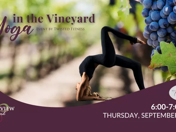 Yoga in the Vineyard