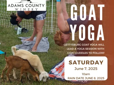 Goat Yoga is Baaack!