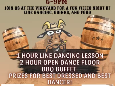 Honky Tonk Hoedown