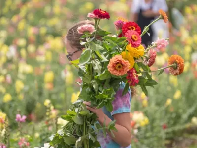  Freedom Farms Wildflower Fest