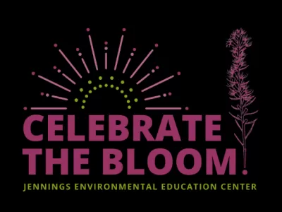 Celebrate the Bloom