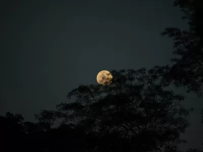 Full Moon Hike at Fieldstone Farm