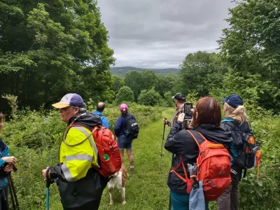 Small Business Support Hikes: Mother’s Day Hike at Salt Springs State Park
