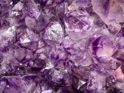 Workshop Wednesdays: Rocks Rock & Fossil Fanatics