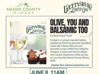 Olive, You and Balsamic Too! A cupcake pairing event