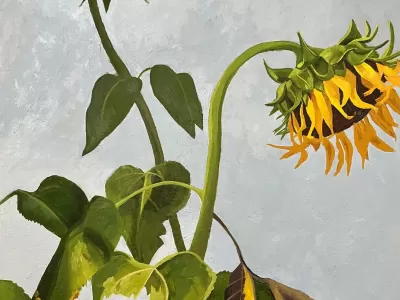 Growing Towards the Sun