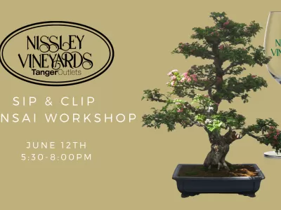 Sip & Clip: Bonsai Workshop